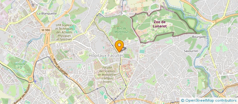 localisation de l'entreprise MADAME NAZHA MATEICH à MONTPELLIER