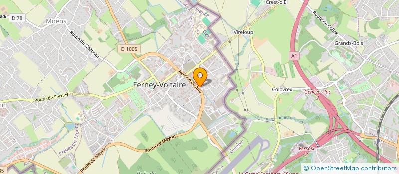 localisation de l'entreprise MADAME NAZIHA AKHROUF à FERNEY-VOLTAIRE