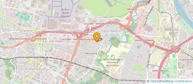 localisation de l'entreprise MADAME NAZIHA AMMICH  TOULOUSE