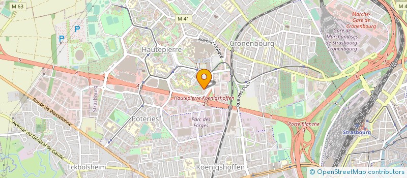 localisation de l'entreprise MADAME NAZIK AMANE à STRASBOURG