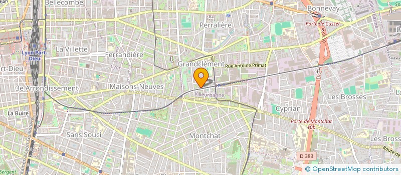 localisation de l'entreprise MADAME NDEYE FALL  VILLEURBANNE