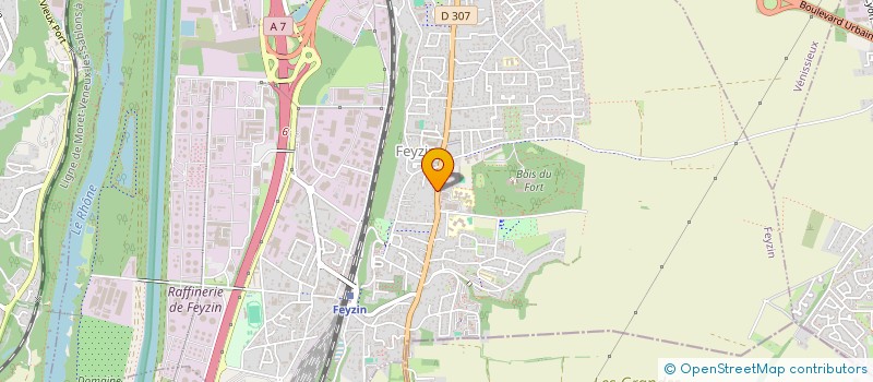 localisation de l'entreprise MADAME NEJMA KHEMMAR  FEYZIN