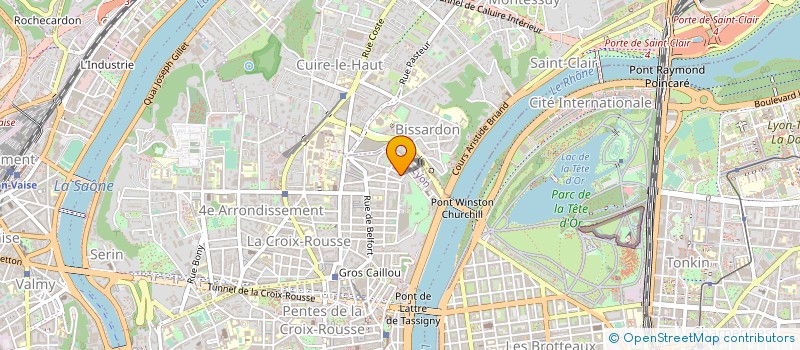 localisation de l'entreprise MADAME NEL VERDUIJN à LYON