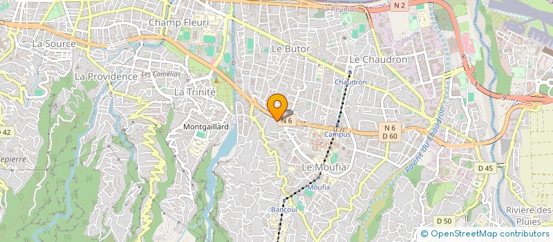 localisation de l'entreprise MADAME NELCY THAZAR  SAINT-DENIS