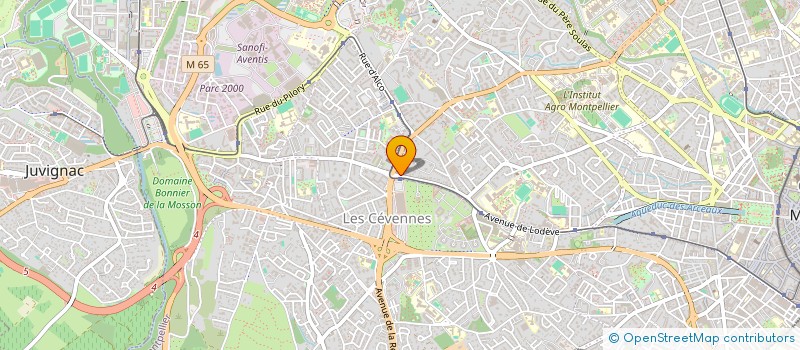 localisation de l'entreprise MADAME NELIE VUYLSTEKE à MONTPELLIER