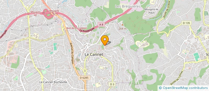 localisation de l'entreprise MADAME NELLI ARSENYAN à LE CANNET