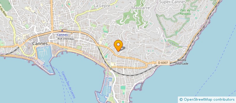 localisation de l'entreprise MADAME NELLI SADOVA  CANNES