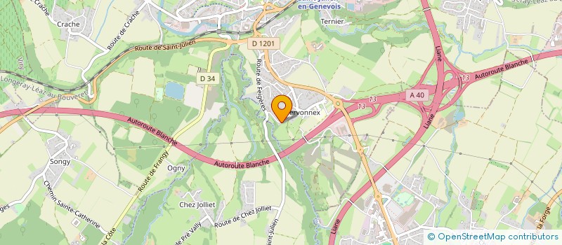 localisation de l'entreprise MADAME NELLY ADOLPHE  SAINT-JULIEN-EN-GENEVOIS