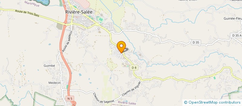 localisation de l'entreprise MADAME NELLY BELLEROPHON  RIVIERE-SALEE