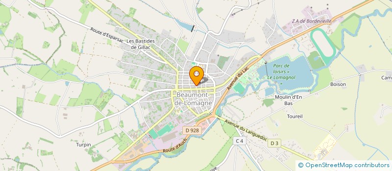 localisation de l'entreprise MADAME NELLY BERTE  BEAUMONT-DE-LOMAGNE