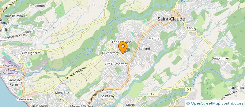 localisation de l'entreprise MADAME NELLY BOULASSY à SAINT-CLAUDE