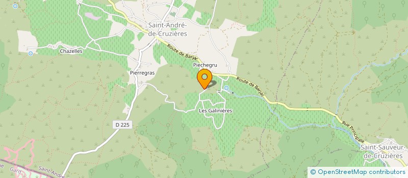 localisation de l'entreprise MADAME NELLY CALLERIZA  SAINT-ANDRE-DE-CRUZIERES