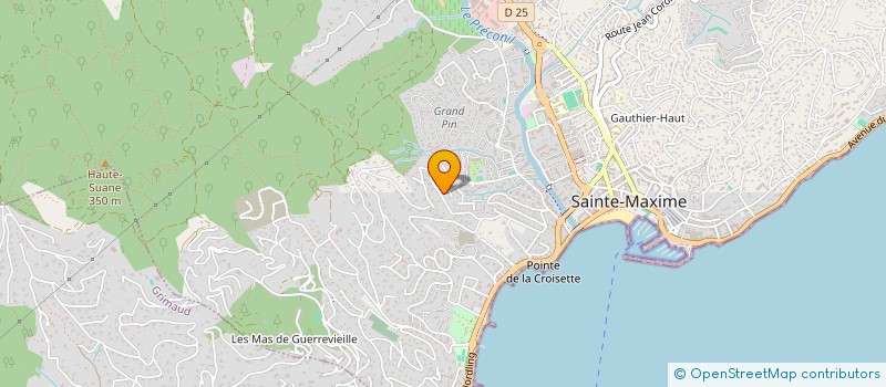 localisation de l'entreprise MADAME NELLY COJAN à SAINTE-MAXIME