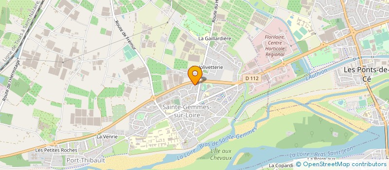 localisation de l'entreprise MADAME NELLY DABOVA MURZEAU  SAINTE-GEMMES-SUR-LOIRE