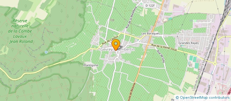 localisation de l'entreprise MADAME NELLY DE MARTIN DE VIVIES  GEVREY-CHAMBERTIN