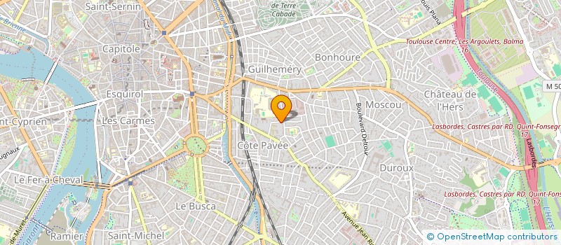 localisation de l'entreprise MADAME NELLY DUCASSE à TOULOUSE