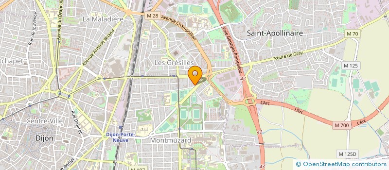 localisation de l'entreprise MADAME NELLY DUPUIS à DIJON