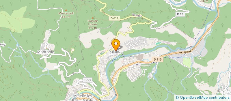 localisation de l'entreprise MADAME NELLY DUSSOLLE  AMELIE-LES-BAINS-PALALDA