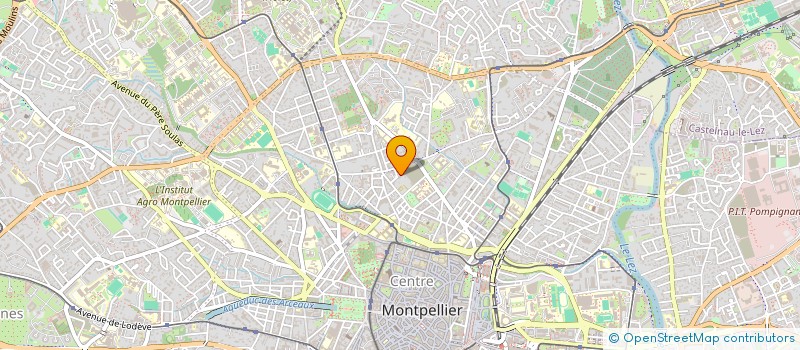 localisation de l'entreprise MADAME NELLY ESPINASSE à MONTPELLIER