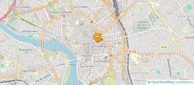 localisation de l'entreprise MADAME NELLY FRANQUES à TOULOUSE