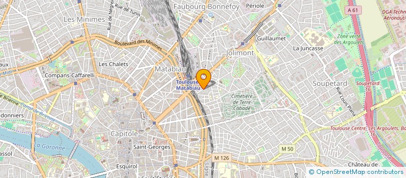 localisation de l'entreprise MADAME NELLY GOYON  TOULOUSE