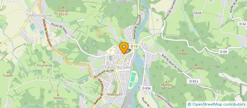 localisation de l'entreprise MADAME NELLY LAMARQUE  SALIES-DU-SALAT