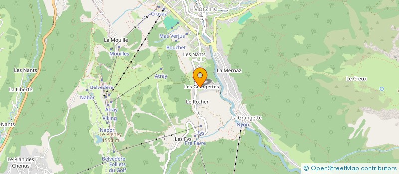 localisation de l'entreprise MADAME NELLY LANDRE  MORZINE