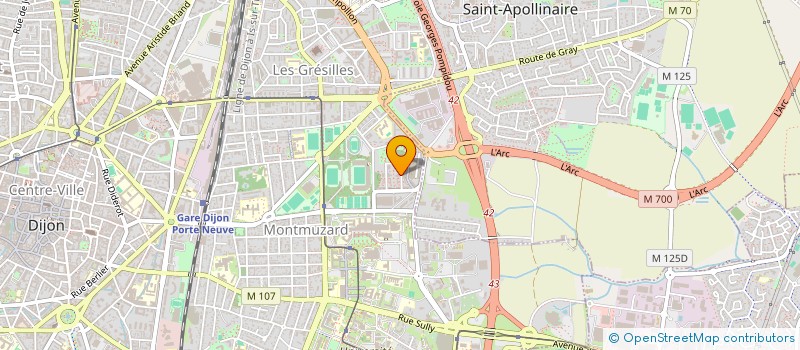 localisation de l'entreprise MADAME NELLY LEKIEFFRE  DIJON