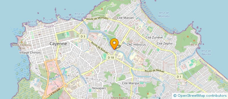 localisation de l'entreprise MADAME NELLY PALMOT  CAYENNE