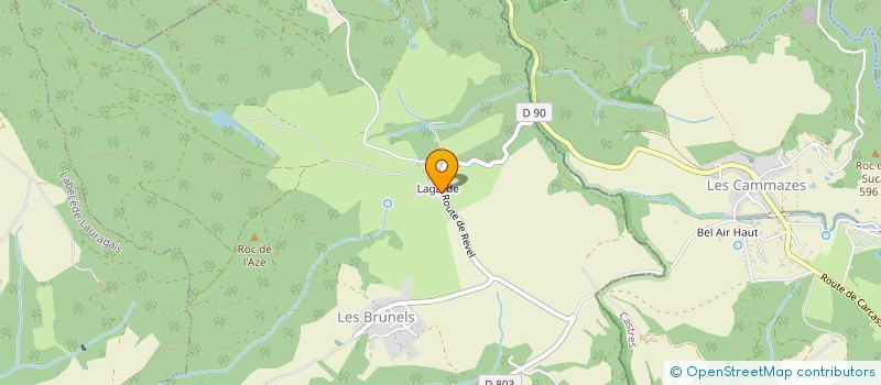 localisation de l'entreprise MADAME NELLY TEISSEIRE  LES BRUNELS