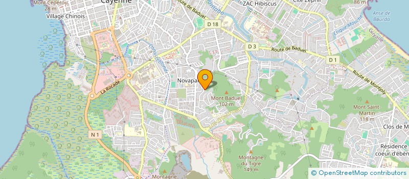 localisation de l'entreprise MADAME NELY RUTIL  CAYENNE