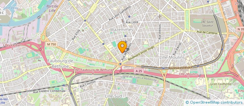 localisation de l'entreprise MADAME NENEI SOUARE à LILLE