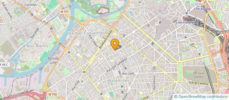 localisation de l'entreprise MADAME NEREA ARINO BES à LILLE