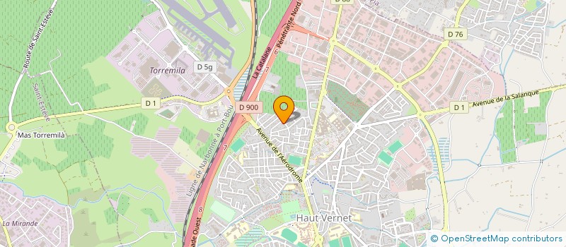 localisation de l'entreprise MADAME NEREA GONZALEZ SANCHEZ  PERPIGNAN