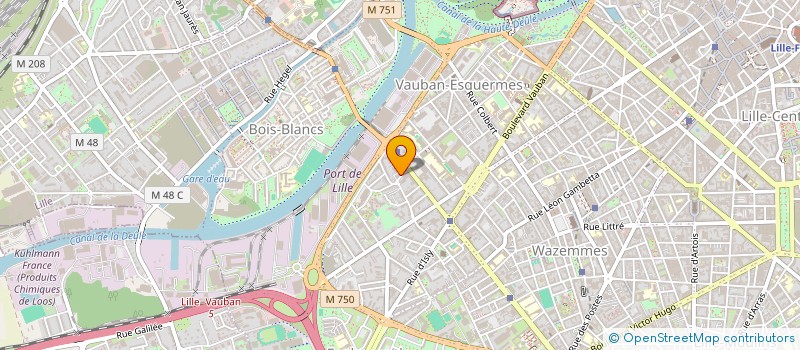 localisation de l'entreprise MADAME NERRY SUYBENG  LILLE