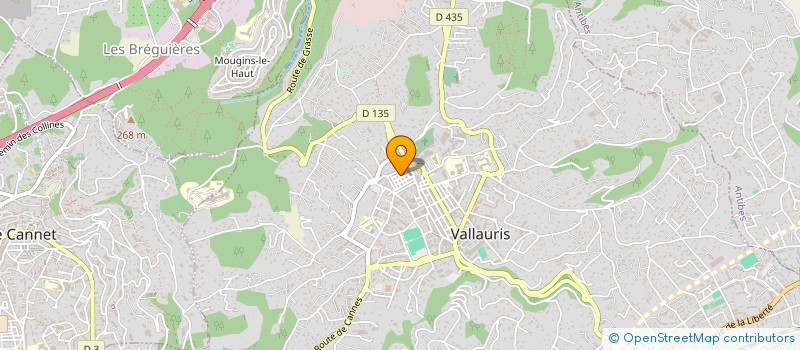 localisation de l'entreprise MADAME NESRINE HAFSI  VALLAURIS