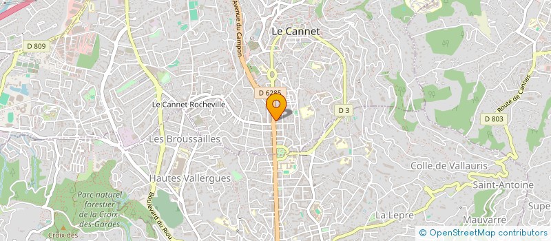 localisation de l'entreprise MADAME NESSRINE GHALLOUSSI à LE CANNET