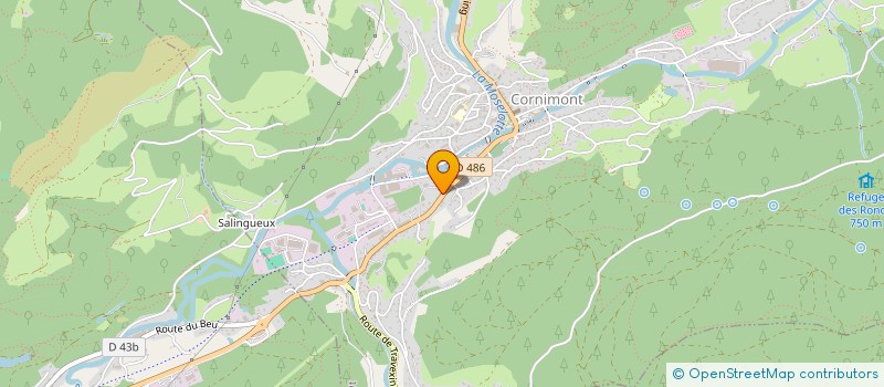 localisation de l'entreprise MADAME NEVENA LUBARDA  CORNIMONT