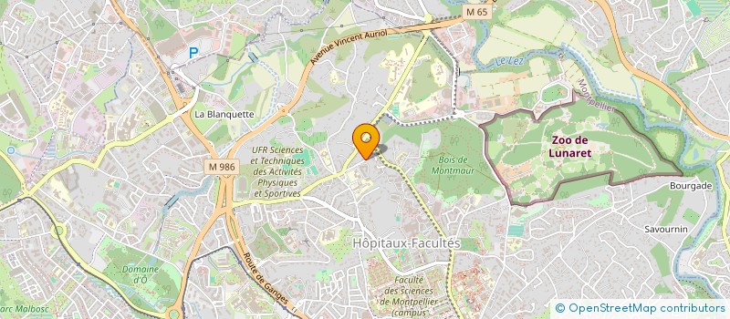 localisation de l'entreprise MADAME NEZHA TALHAOUI à MONTPELLIER