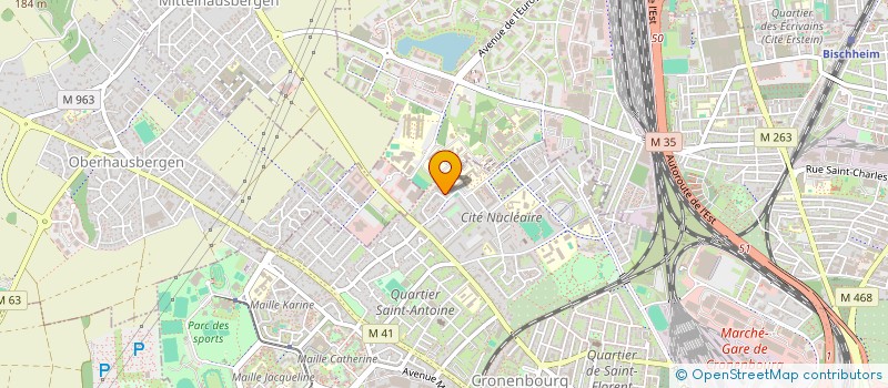 localisation de l'entreprise MADAME NEZIBE SASKIN  SCHILTIGHEIM