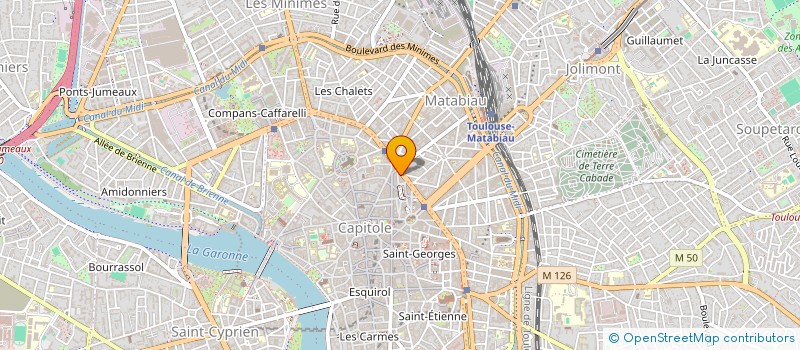 localisation de l'entreprise MADAME NGOC TU NHI NGUYEN à TOULOUSE