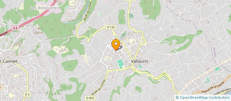 localisation de l'entreprise MADAME NGOZI URAMAH  VALLAURIS