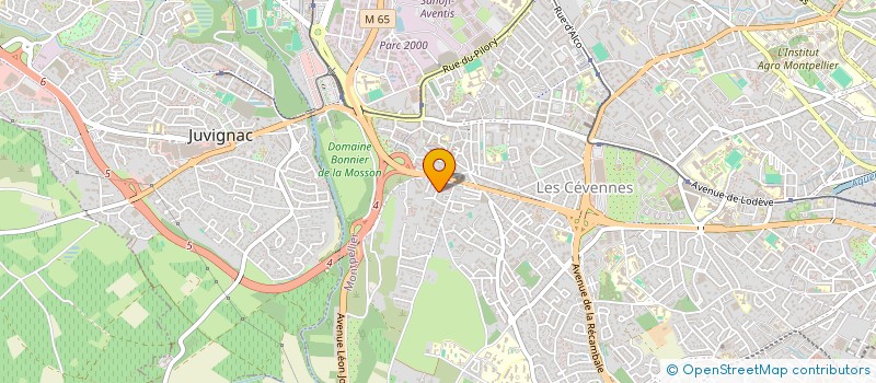 localisation de l'entreprise MADAME NICESSE TASSOT à MONTPELLIER