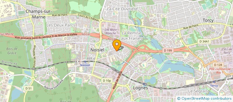 localisation de l'entreprise MADAME NICOLA NUNES à MELUN