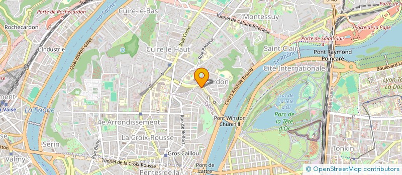 localisation de l'entreprise MADAME NICOLE ALCARAZ à LYON