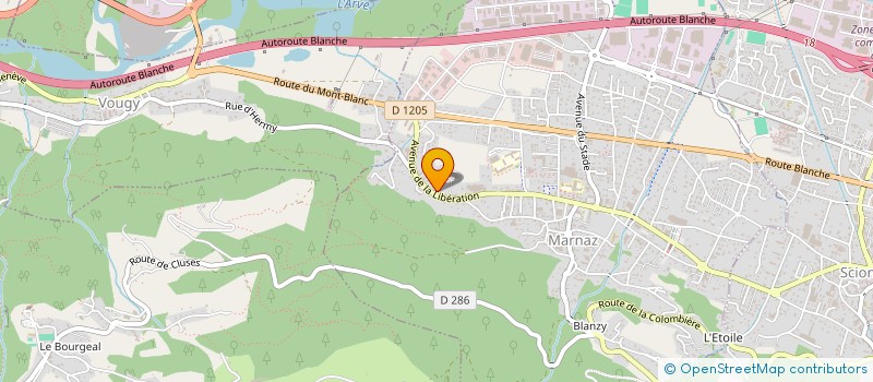 localisation de l'entreprise MADAME NICOLE ALLAIS  MARNAZ