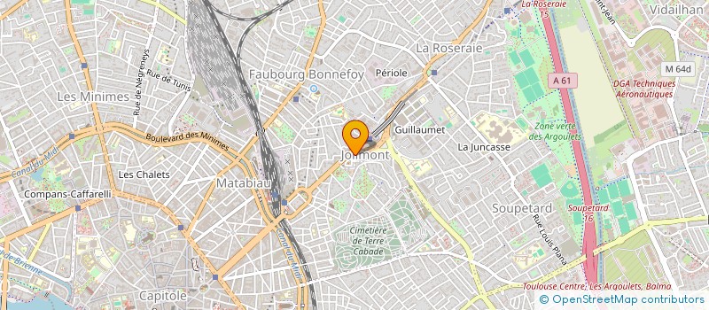 localisation de l'entreprise MADAME NICOLE AMAR  TOULOUSE