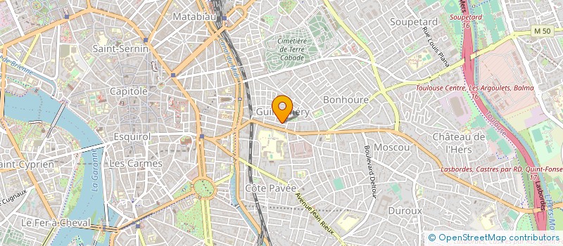 localisation de l'entreprise MADAME NICOLE AUVINET à TOULOUSE