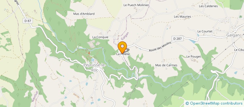 localisation de l'entreprise MADAME NICOLE BARBANCE  PEYRUSSE-LE-ROC