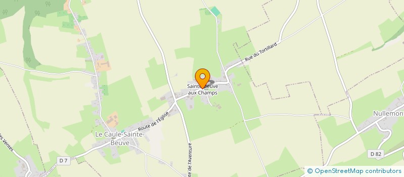 localisation de l'entreprise MADAME NICOLE BOILLET  LE CAULE-SAINTE-BEUVE